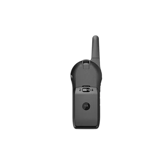 Curve-Resized-Back.webp